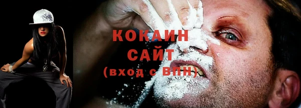 дживик Аркадак