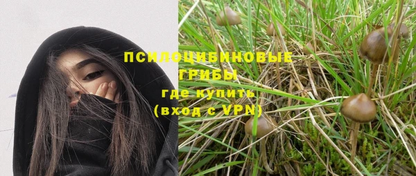 шишки Армянск