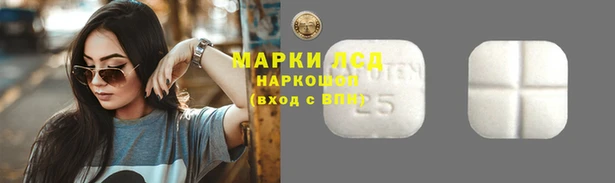 шишки Армянск