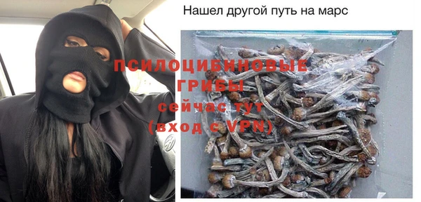 шишки Армянск