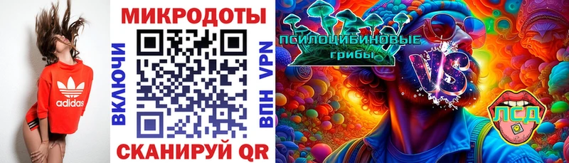 Псилоцибиновые грибы Psilocybe  магазин  наркотиков  Кинель 